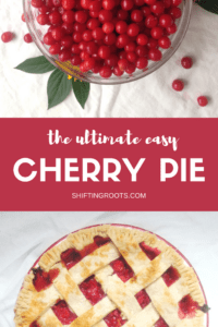 Each year I eagerly await cherry season so I can make my annual sour cherry pie. It's such an easy recipe and is so worth the work of pitting the cherries. This version uses sour cherries found in colder climates