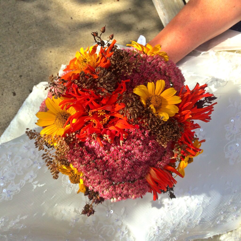 Wedding bouquet, bridal bouquet, sedum, daisy, zinnia, dill, yellow, orange, pink, fall, autumn