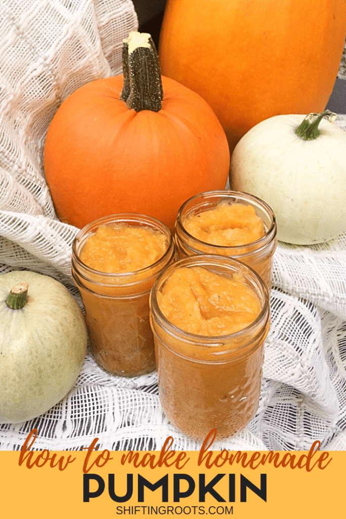 Save money by making your own pumpkin puree.  I'll show you how to make it.  Then you can use it for healthy recipes, in soup, dessert, cookies, muffins, pancakes, or even as baby food! #pumpkin #puree #healthy #preserving #garden #canning #pumpkins #DIY