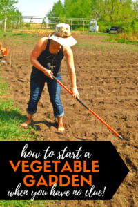Planting a vegetable garden doesn't have to be complicated! Here's how to grow delicious vegetables --a guide in simple language that's perfect for beginners!!