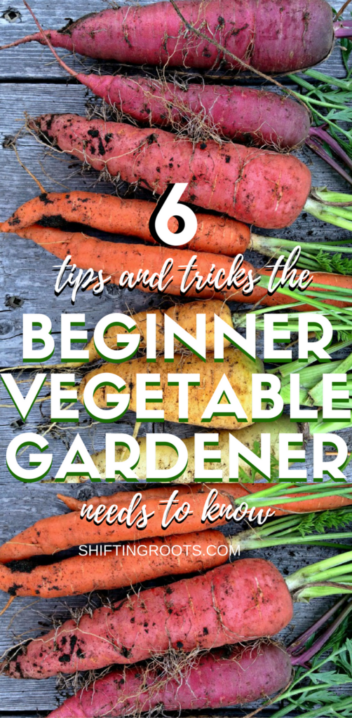 While you're learning how to grow your new vegetable garden, there's a few truths and tips every beginner should know. Hint: you need to water and weed, and you'll probably pull out a few good plants along the way. #gardening #vegetablegardening #beginnergardener #gardentips