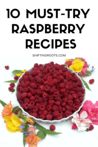 You've picked, cleaned, canned and frozen your raspberries...now what to make with all of them? Fear not! Here's 10 recipes the whole family will love this summer.