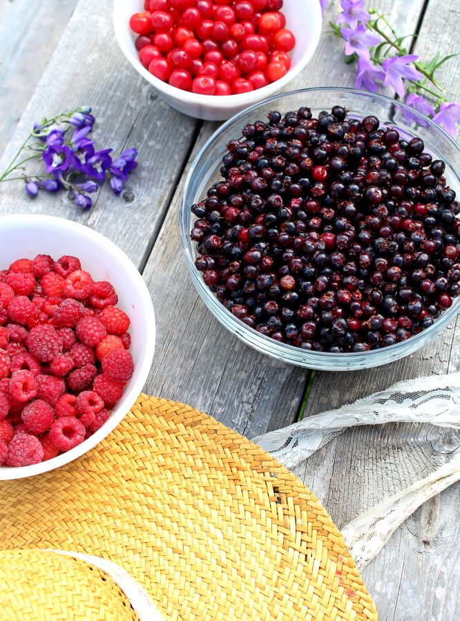 Planning to harvest fresh berries this summer?  Before you start canning, freezing, and preserving your berries, read this first to make the whole process easier--especially if you're a beginner! #berries #summerberries #canning #harvesting #preserving #freezing #foodstorage #preservingfood #canning101