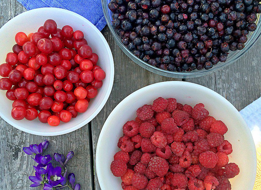 I love going berry picking every summer. Saskatoon berries, blueberries, raspberries, strawberries, sour cherries. . . you name it, I love to pick it. Over the years I've learned that while picking berries is about food security, it's also about love and passing down traditions.