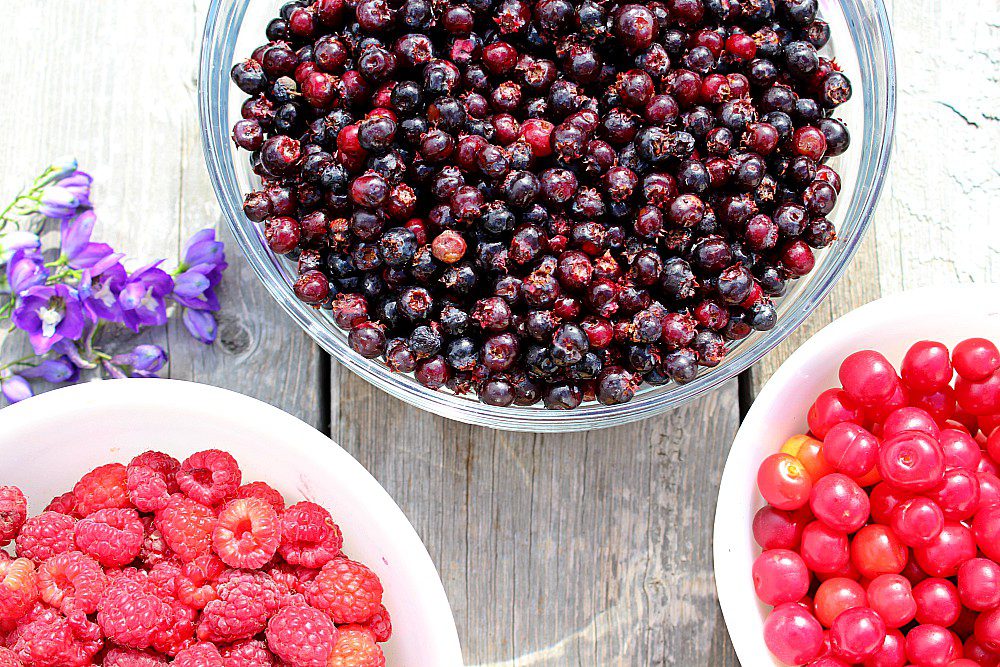 Planning to harvest fresh berries this summer?  Before you start canning, freezing, and preserving your berries, read this first to make the whole process easier--especially if you're a beginner! #berries #summerberries #canning #harvesting #preserving #freezing #foodstorage #preservingfood #canning101