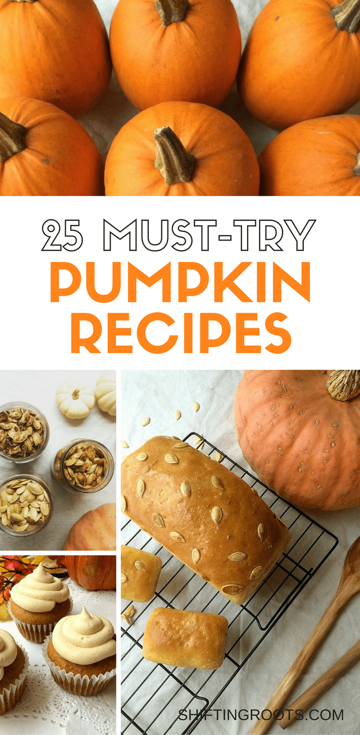 Feed your pumpkin and pumpkin spice addiction with these 25+ must-try pumpkin recipes. Breads, desserts, pumpkin seeds, main courses and pasta ideas for every taste and meal.