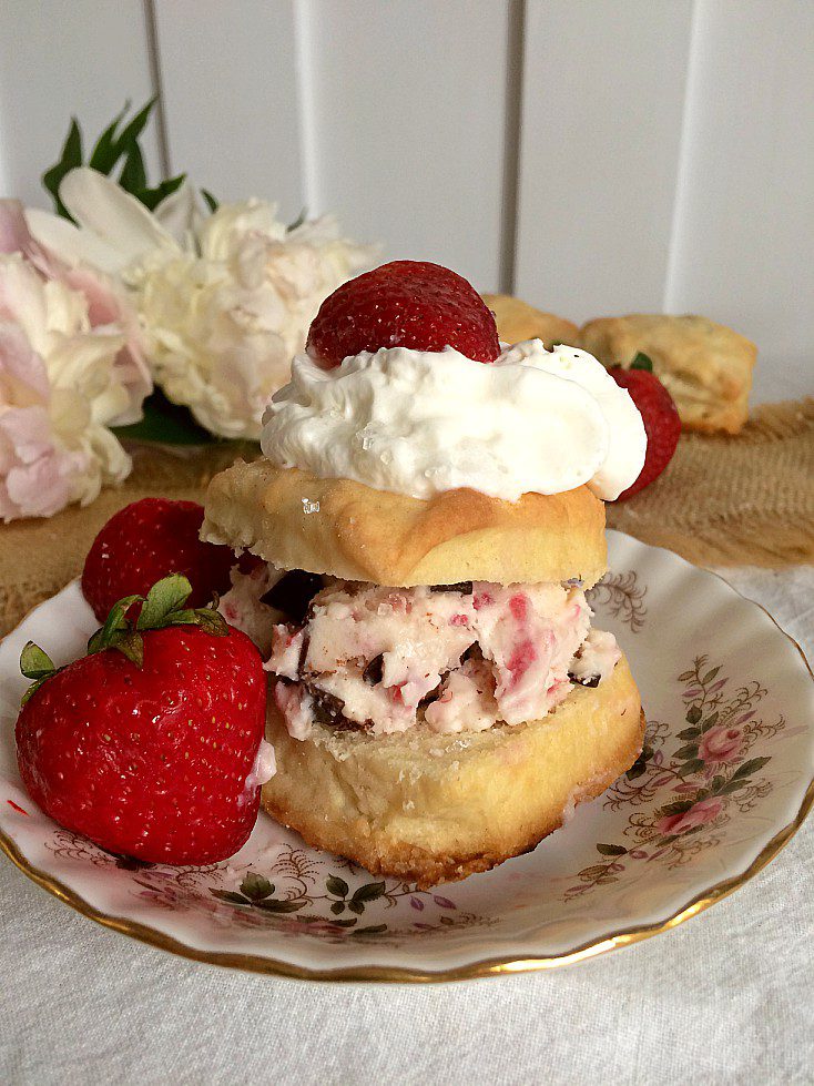 Summer means strawberries. . . and strawberry shortcake! Learn how to bake the perfect shortcake biscuit and have your guests coming back for seconds. This easy homemade recipe will have you in and out of the kitchen in no time. #strawberryrecipe #strawberryshortcake #sweettreats #easydessert #easydessert recipe #summerdessert 