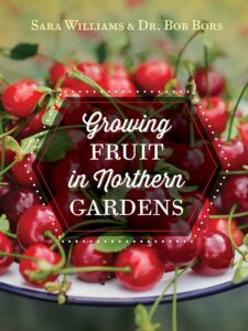 Growing fruit in northern gardens