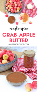 Have a crab apple tree full of apples and no idea what to do with it? You'll want to make this maple spiced crab apple butter! All the smells and tastes of autumn. Spread it on toast or fresh bread, use it as a pancake topping, or use it to flavour plain yogurt.