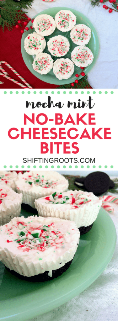 Trouble staying awake with all the Christmas baking you're doing? Make some of these no-bake mocha mint cheesecake bites. It's an easy mini cheesecake recipe with oreos, candy canes, and Dusty Plains Cold Brew Coffee that's like a party in your mouth. #cheesecake #christmasbaking #holiday #coldbrewcoffee #coffeerecipe #christmas #holidaybaking #nobakecheesecake #cheesecakebites #candycane #oreo