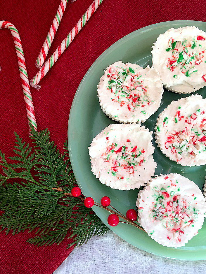 Trouble staying awake with all the Christmas baking you're doing? Make some of these no-bake mocha mint cheesecake bites. It's an easy mini cheesecake recipe with oreos, candy canes, and Dusty Plains Cold Brew Coffee that's like a party in your mouth. #cheesecake #christmasbaking #holiday #coldbrewcoffee #coffeerecipe #christmas #holidaybaking #nobakecheesecake #cheesecakebites #candycane #oreo