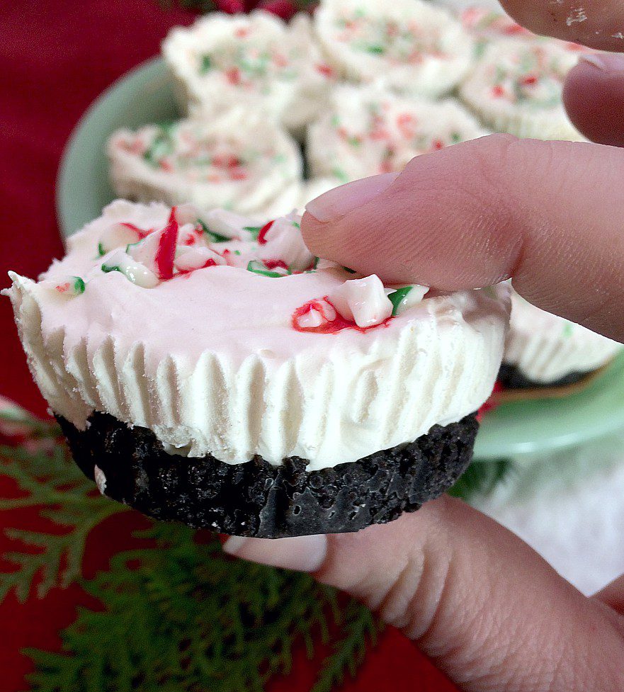 Trouble staying awake with all the Christmas baking you're doing? Make some of these no-bake mocha mint cheesecake bites. It's an easy mini cheesecake recipe with oreos, candy canes, and Dusty Plains Cold Brew Coffee that's like a party in your mouth. #cheesecake #christmasbaking #holiday #coldbrewcoffee #coffeerecipe #christmas #holidaybaking #nobakecheesecake #cheesecakebites #candycane #oreo