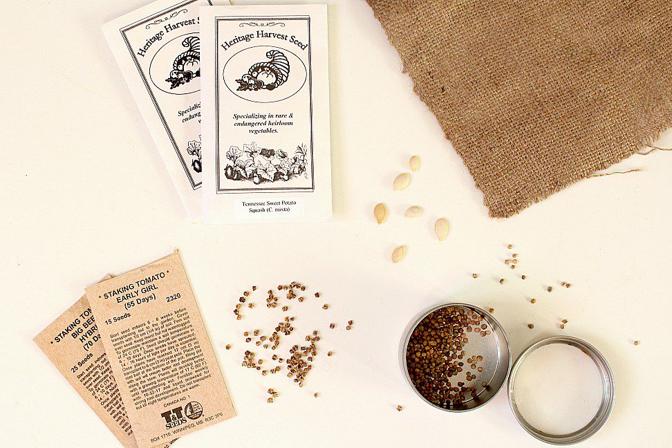 Are you a beginner gardener with no idea where to start? Whether you're looking for flowers or vegetables, heirloom seeds, organic seeds, wildflower seeds for your xeriscape, or hardy fruit trees, you'll find something in this list. Order early so you can try seed starting before it's gardening season! #gardening #seedstarting #seeds #startingseeds #flowers #vegetables #landscaping #seedcompanies