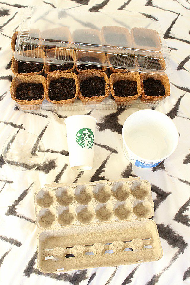Upcycle these 10 common household items to save money gardening this spring. Soda bottles, plastic containers, egg cartons and more make creative mini-greenhouses, seed starting containers, and tomato cage reinforcements. Your wallet will love these creative garden recycling ideas. #gardening #savingmoney #frugalliving #upcycle #recycle #compost #zerowaste #seedstarting #staringseeds