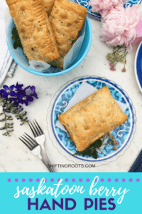 Have a few leftovers from making a Saskatoon berry pie recipe? Don't through them out, make these easy hand pies instead. #handpies #pie #saskatoonberries #saskatoonberryrecipes #easyrecipes #dessertrecipes #summerdessertrecipe #pierecipe
