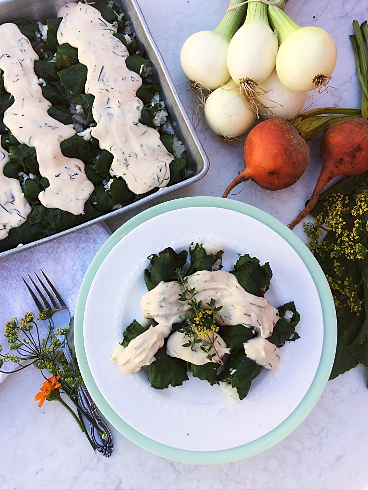 Ukrainian beet leaf rolls with creamy dill sauce will be your new vegetarian comfort food. It's an easy cabbage roll recipe stuffed with rice and baked into a delicious casserole--just like Mom used to make. #casserole #beetleafrolls #cabbagerolls #Ukrainiandishes #Ukrainiancuisine #vegetariancasserole #vegetarian #casserole