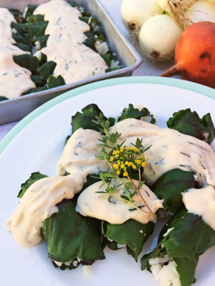 Ukrainian beet leaf rolls with creamy dill sauce will be your new vegetarian comfort food. It's an easy cabbage roll recipe stuffed with rice and baked into a delicious casserole--just like Mom used to make. #casserole #beetleafrolls #cabbagerolls #Ukrainiandishes #Ukrainiancuisine #vegetariancasserole #vegetarian #casserole