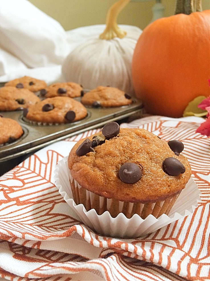 Fall tastes like these easy pumpkin muffins with chocolate chips!  You've got to try this healthy, deliciously moist, from scratch recipe now!  Perfect for Thanksgiving, Halloween, and after school snacks. #pumpkin #chocolatechips #muffin #recipe #fall #autumn #snack #Thanksgiving #Halloween