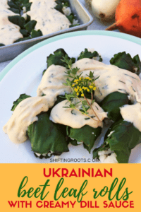 Ukrainian beet leaf rolls with creamy dill sauce will be your new vegetarian comfort food. It's an easy cabbage roll recipe stuffed with rice and baked into a delicious casserole--just like Mom used to make. #casserole #beetleafrolls #cabbagerolls #Ukrainiandishes #Ukrainiancuisine #vegetariancasserole #vegetarian #casserole