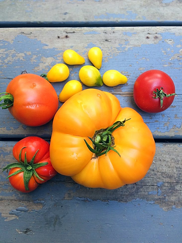 Preserving tomatoes by canning is great but time consuming.  Learn how to use your slow cooker, oven, and freezer to same you time this harvest.  Never waste your garden vegetables because you couldn't get to them! #gardening #tomatoes #vegetables #canning #freezing #preserving