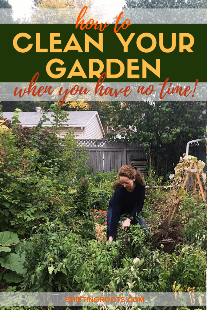 No time do a fall garden clean up? Here's some good tips on which jobs you must do with your vegetables and perennial flowers, and which chores you can skip until Spring. #gardening #tips #beginners #fall #autumn #garden #vegetables #perennials #chores #tasks