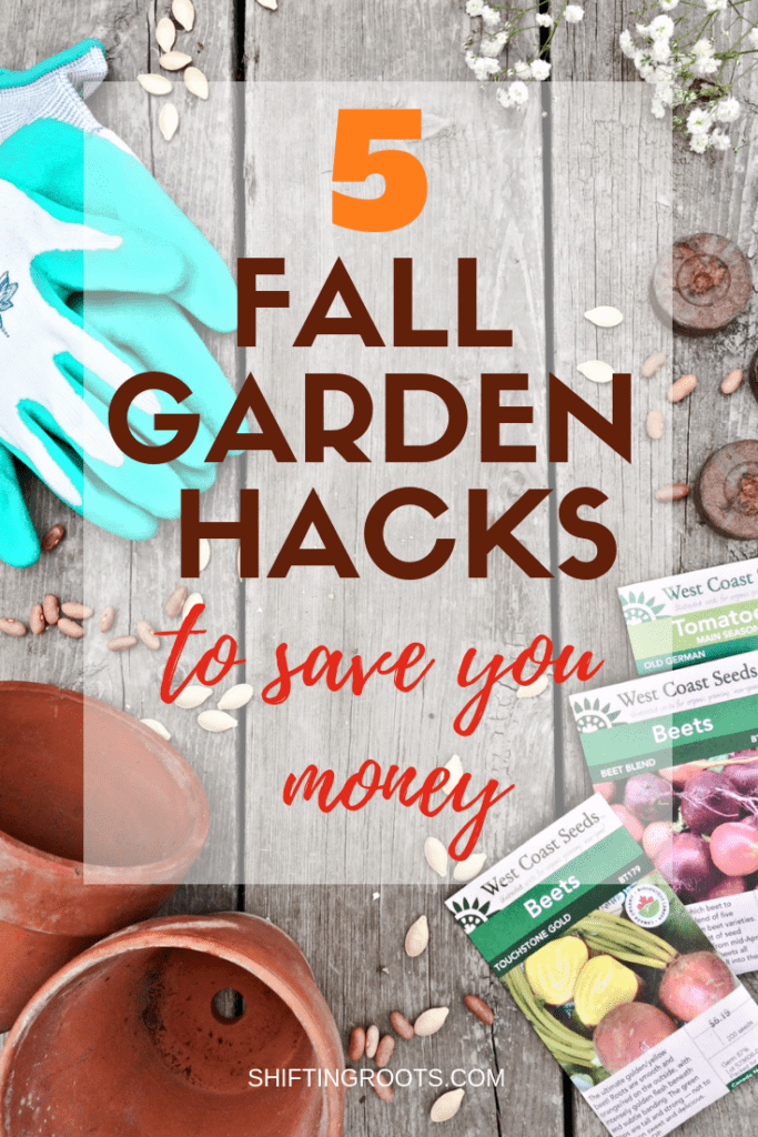 Looking for a way to be more frugal in your garden? I'll share my best tips and ideas for beginners on saving money in their vegetable or flower garden. Here's to gardening on a budget!! #gardening #budget #frugal #hacks #tips #ideas #for beginners #vegetable #flower