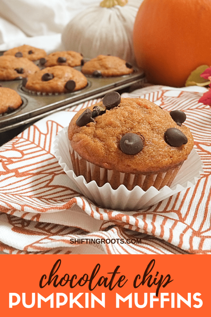 Fall tastes like these easy pumpkin muffins with chocolate chips!  You've got to try this healthy, deliciously moist, from scratch recipe now!  Perfect for Thanksgiving, Halloween, and after school snacks. #pumpkin #chocolatechips #muffin #recipe #fall #autumn #snack #Thanksgiving #Halloween