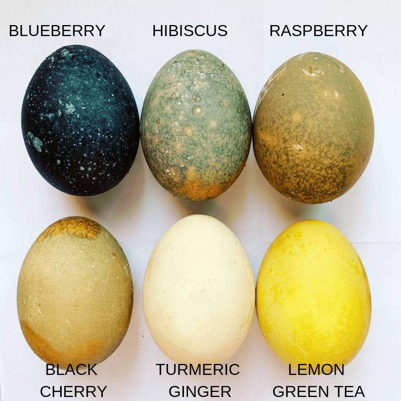 Ever wished you knew how to naturally dye easter eggs, and what exact recipe works the best?  Here's how I made DIY Easter Eggs using herbal teas!  It's such a cool decorating idea for adults, teens, or kids. #eastereggs #tea