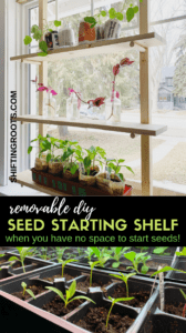 Wish you could seed start indoors, but don't have room for big shelves or grow lights? If you have a south or west facing window, this removable DIY seed starting rack is the answer! Build your own shelves according to your window's dimensions and easily remove the whole thing at the end of Spring! Perfect for your homemade seed starting trays. #seedstarting #DIY