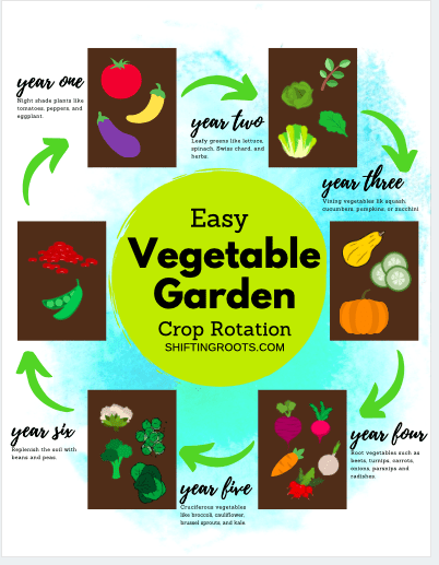 New to garden planning?  Don't miss crop rotation, an essential step in preventing pests, insects, and disease from ruining your vegetable garden. #vegetablegarden #croprotation #gardening #tips #beginners #planning