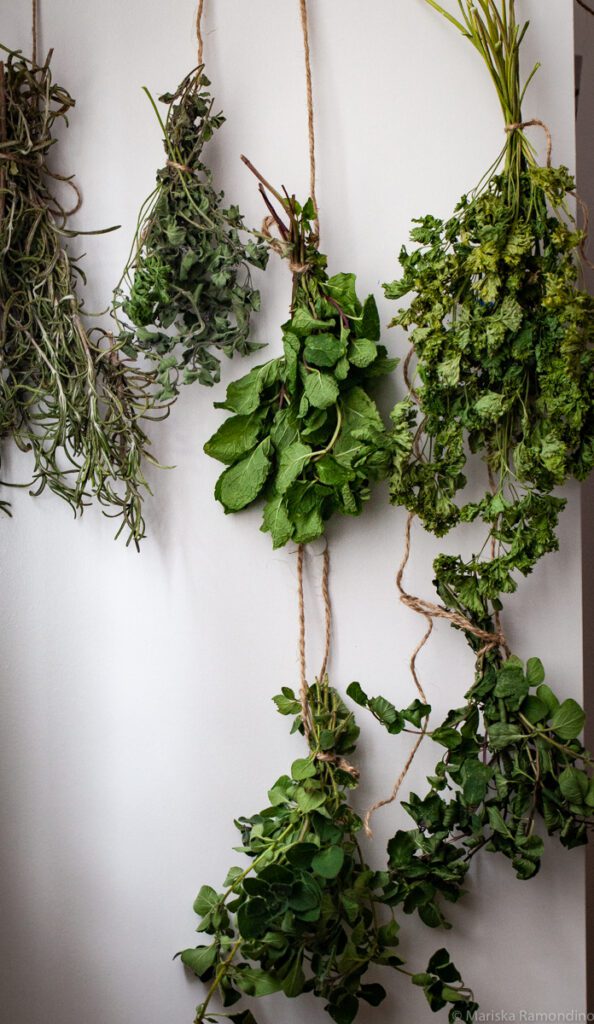 I love growing herbs in my garden but I never know how to preserve them so they still taste good.  I can't believe how easy it is to preserve herbs with air drying--although there's more to it than meets the eye.  This post has lots of good tips. #herbs #air #drying #preserving