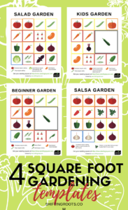 How To Start A Square Foot Garden | SHIFTING ROOTS