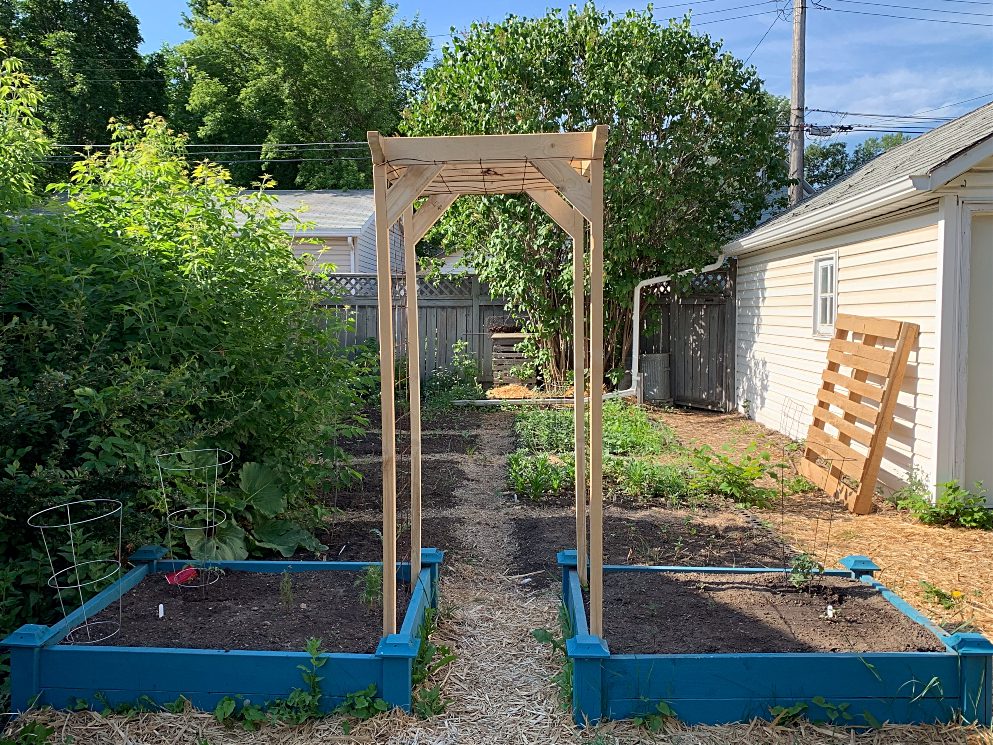 A raised bed garden with a trellis for beans.