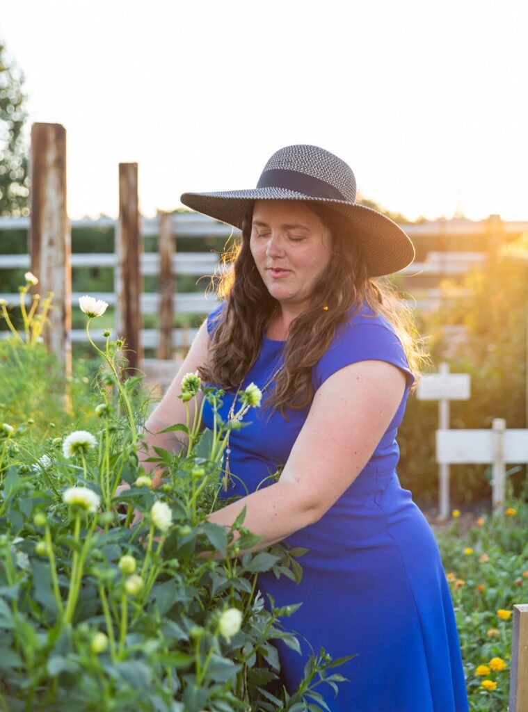Woman in a hat and blue dress tending to dahlias. 