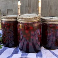 Canned Saskatoon Berries