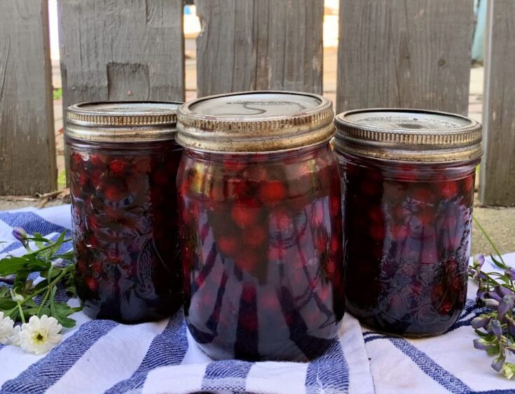 Canned Saskatoon Berries