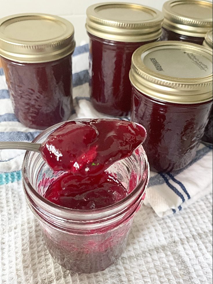 Chokecherry Jelly Recipe (with low-sugar/honey)