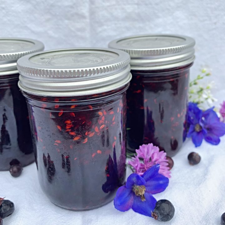 Saskatoon Berry Jam