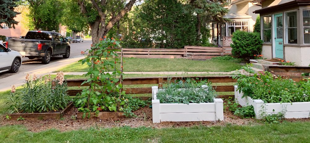 Four raised beds, two wood and two vinyl, with cut flowers growing in them.