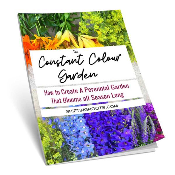 Constant Colour Garden