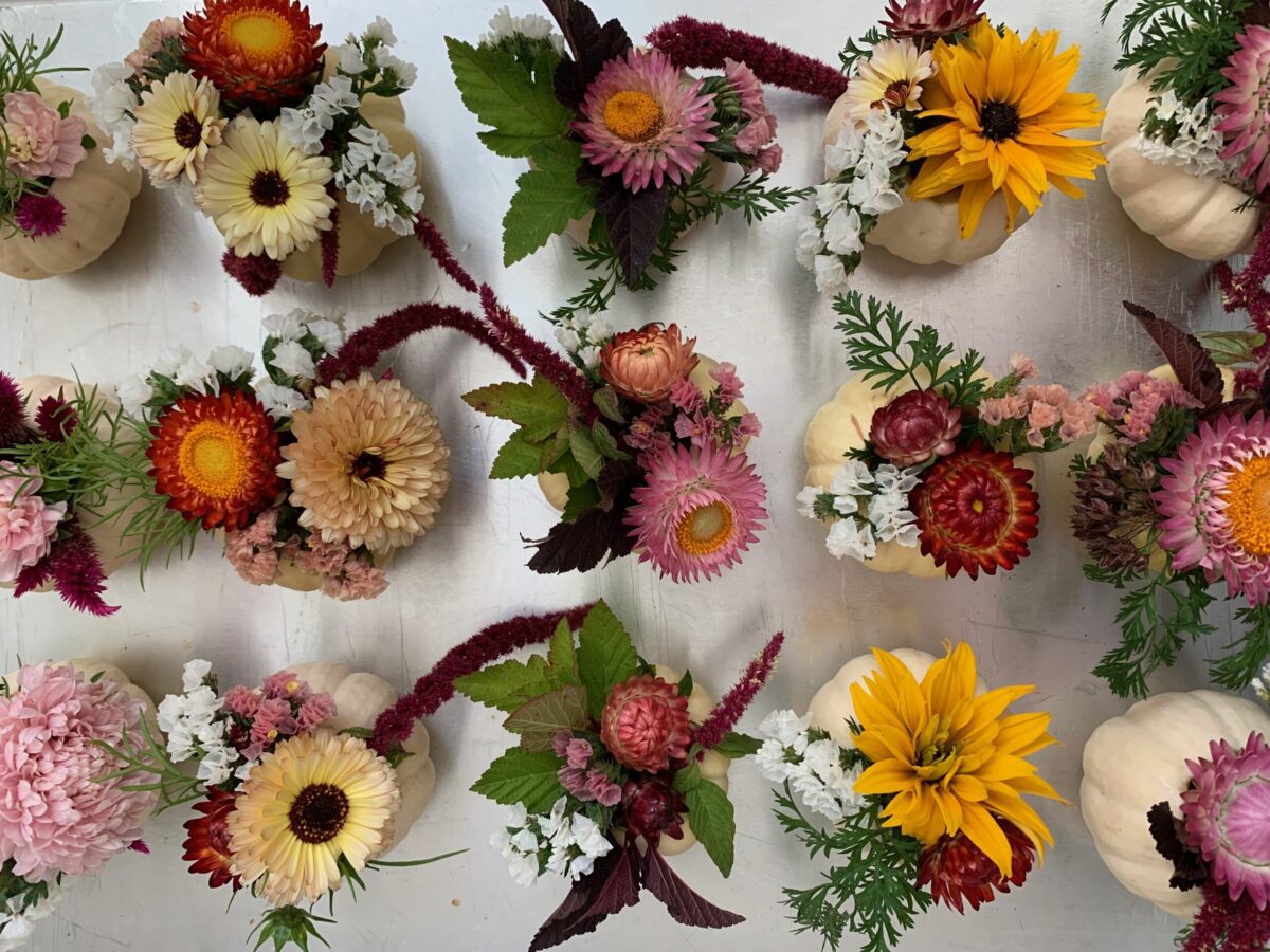 a series of mini white pumpkin centrepieces filled with fall flowers like calendula, strawflowers, and statice.