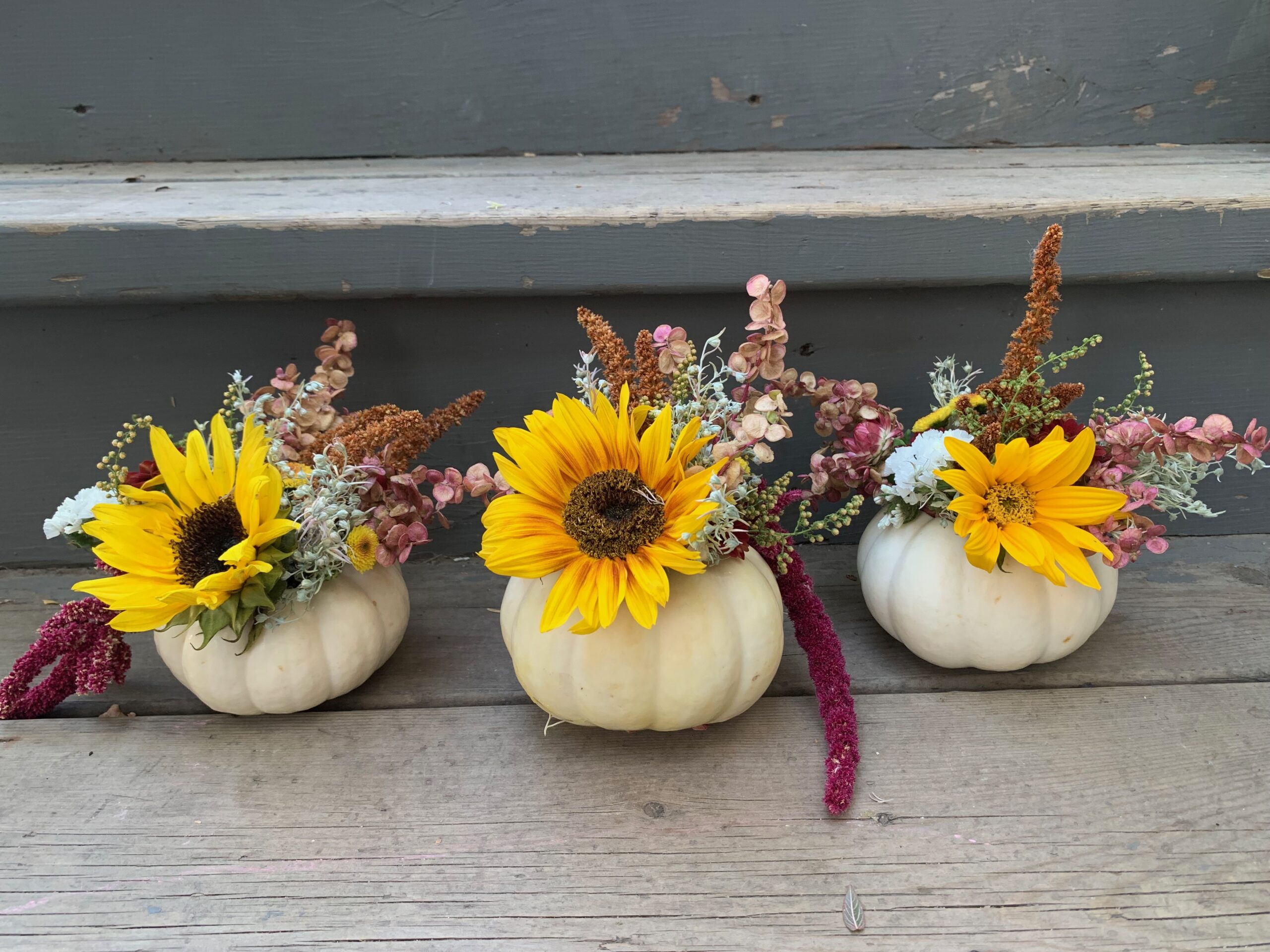 Three small white pumpkin centrepieces, filled with sunflowers and amaranth.