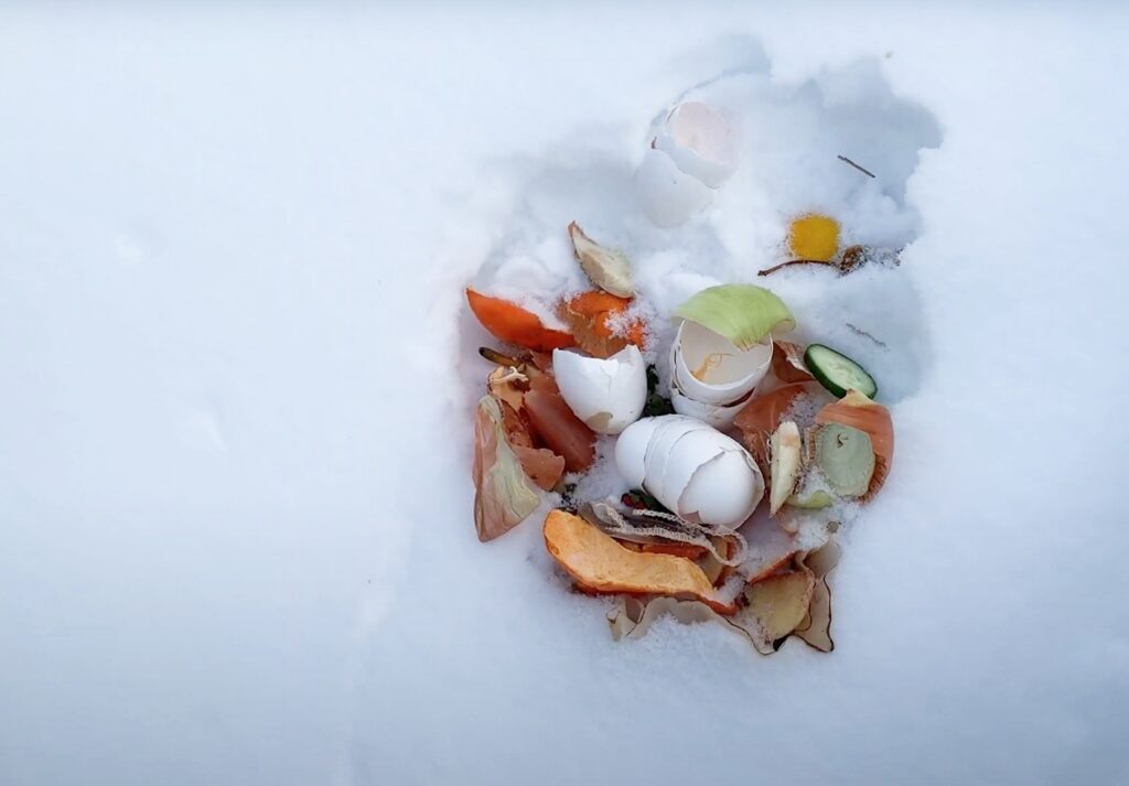 Egg shells, cucumber, orange peel, and onion in the snow.