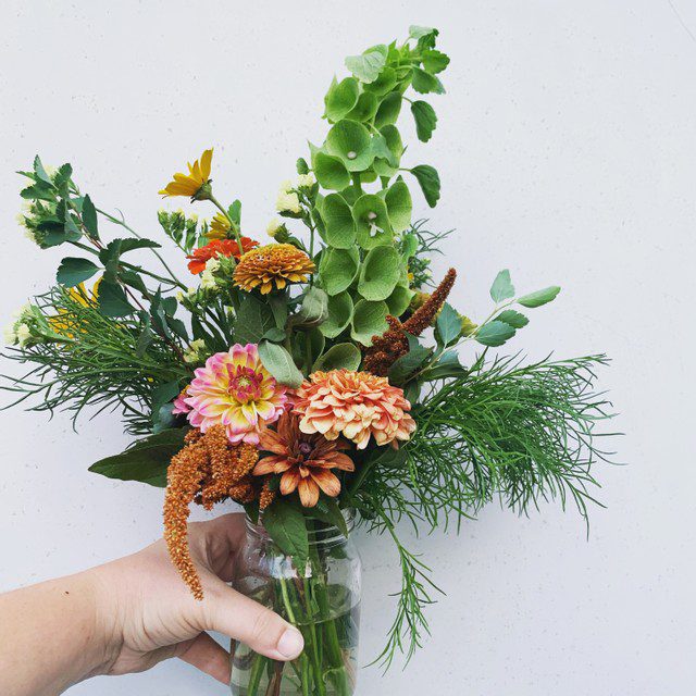 Cut Flowers Made Simple Offer Shifting Roots