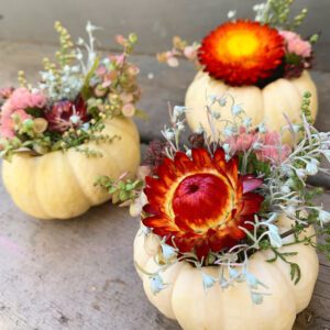 3 mini pumpkin centrepieces with white pumpikns and dark orange strawflowers