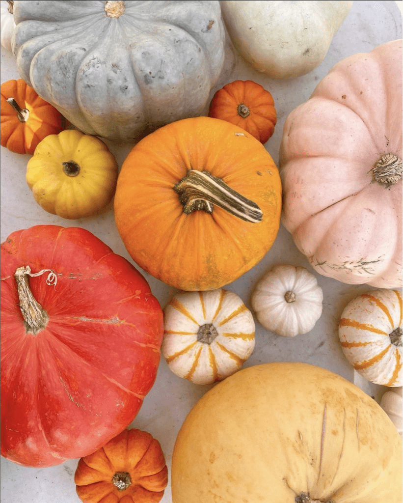 A mixture of heirloom pumpkins in a variety of sizes and colours.