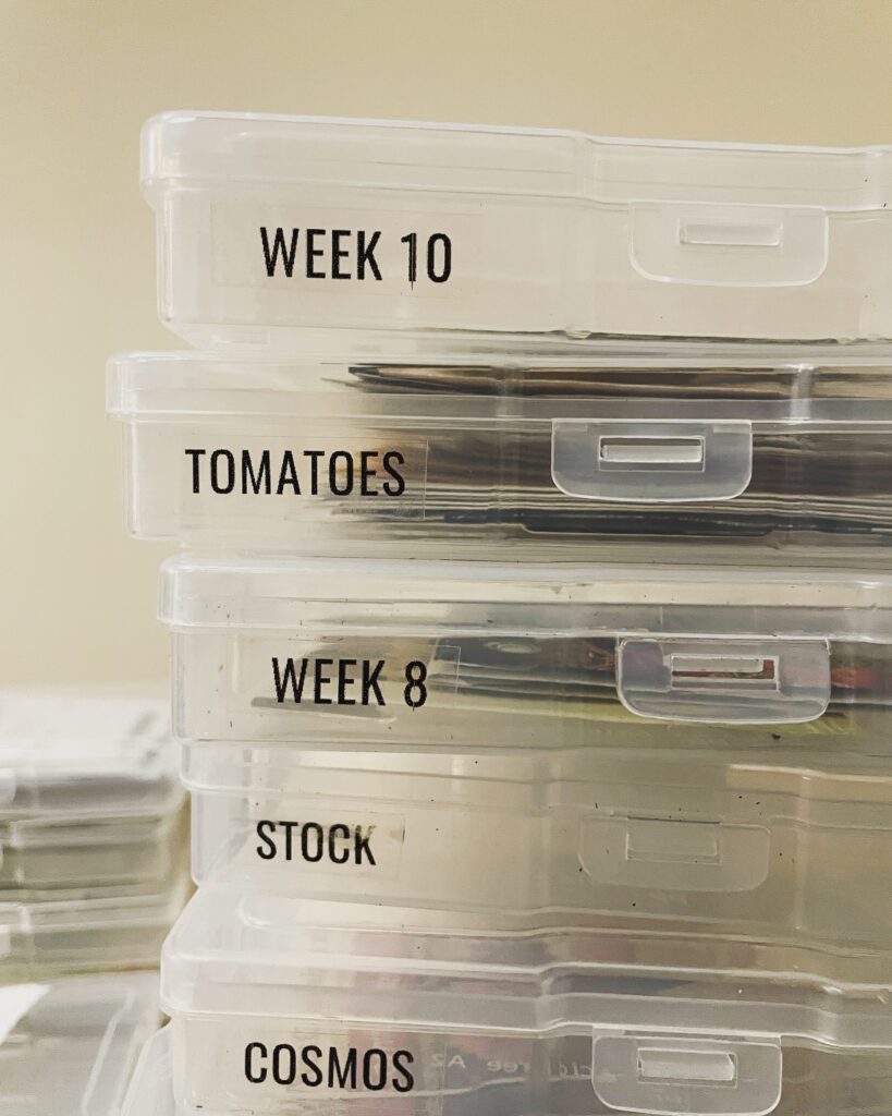 A stack of clear seed starting containers labelled with the different plants or weeks to seed start.